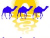 Broome Camel Safaris