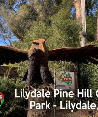 Kui Parks – Lilydale Pine Hill Caravan Park (CP)