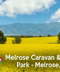 Kui Parks – Melrose Caravan & Tourist Park (CP)