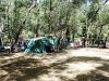 Adels-Grove-Camping-Ground2.jpg