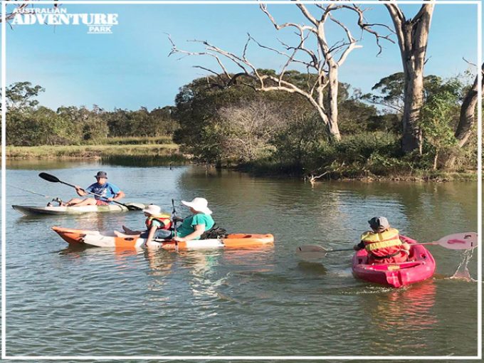 Australian-Adventure-Park-Kayaking.jpg