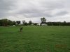 Blizzardfield-Camping-Spacious-Grassy-Site