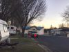 Bombala-Caravan-Park2.jpg