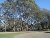 Boosey-Creek-Lions-Park-Campground-Spacious-Site.jpg
