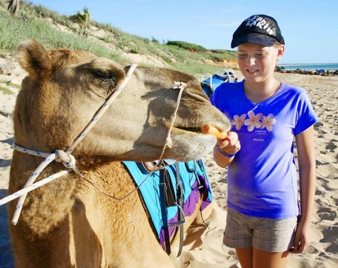 Broome-Camel-Safaris-Camel-Feeding.jpg