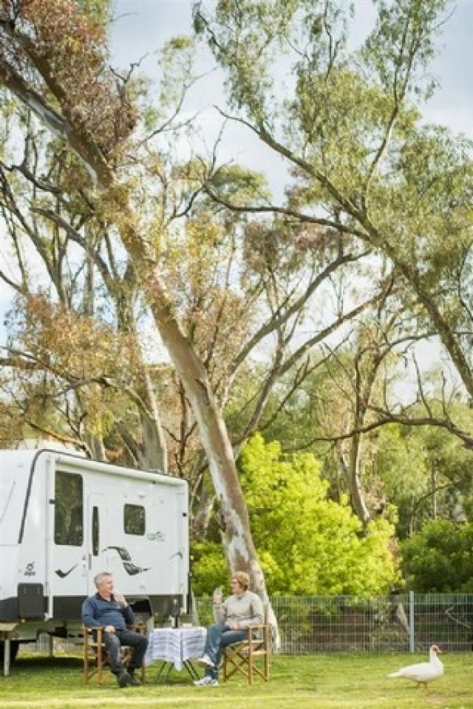 Burra-Caravan-and-Camping-Park-Shady-Site.jpg