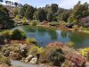 Cradle-Coast-Tours-Royal-Tasmanian-Botanical-Gardens.jpg