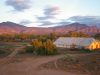 Edeowie-Station-Shearing-Shed