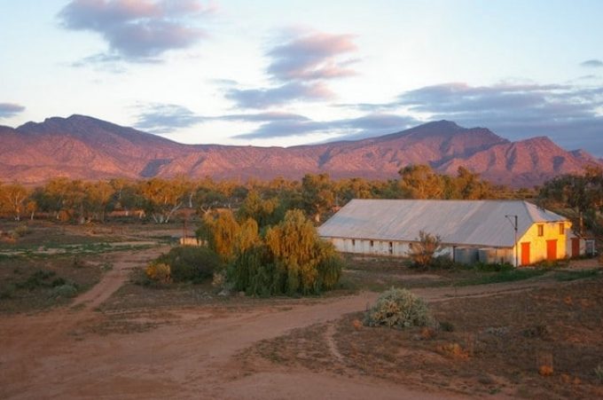 Edeowie-Station-Shearing-Shed