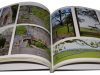 Getuit-Graphics-Holiday-Book-pages.jpg