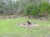 Jimmy-Creek-Campground-Fire-Pit