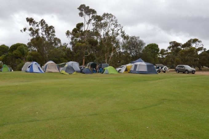 Mannum-Golf-Club-Camp-Area