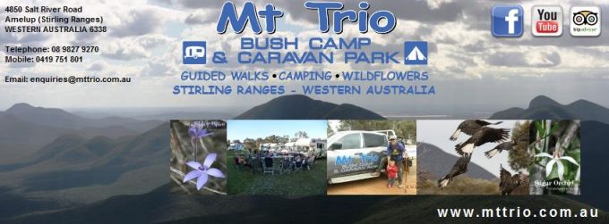 Mt-Trio-Bush-Camp-Caravan-Park1.jpg