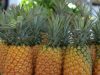 NFM-Pineapples-1024x1024.jpg