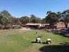 Nathalia-Golf-club-taken-from-the-Drone-2019.jpg