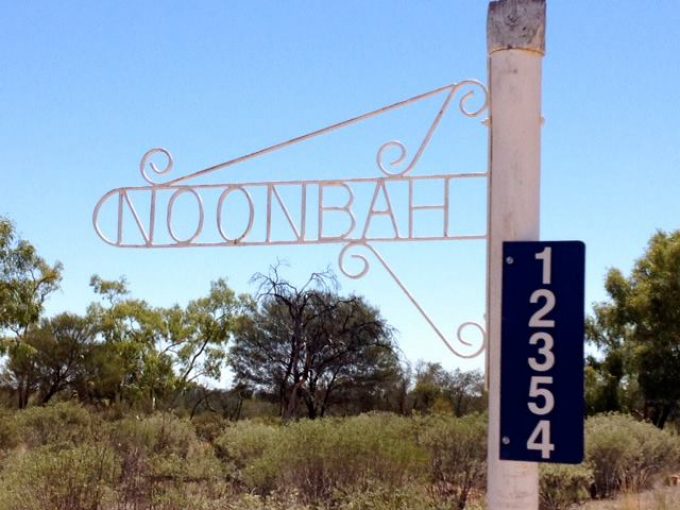 Noonbah-Station-Campground1.jpg