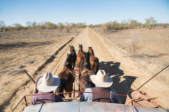 Outback-Pioneers-Tours-Experiences-Ride-On-The-Cobb-and-Co-Stagecoach.jpg