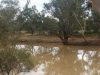 Paroo-River