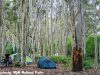 Peaceful-site-at-Brou-Lake-campground-Eurobodalla-National-Park.jpg