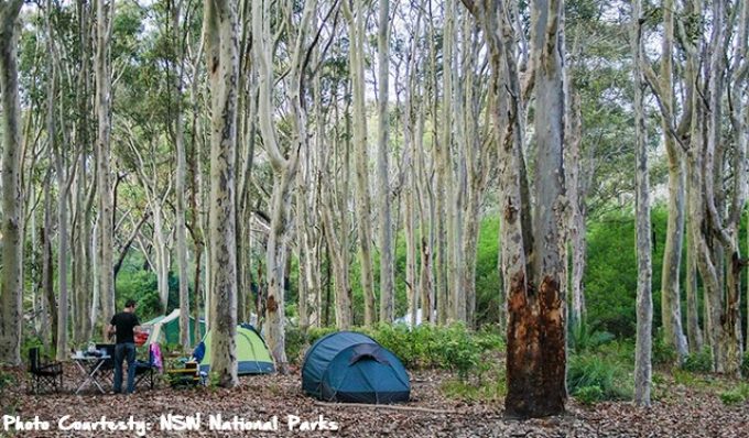 Peaceful-site-at-Brou-Lake-campground-Eurobodalla-National-Park.jpg