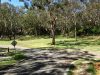 Port-Stephens-Treescape-Camping-and-Accommodation1.jpg