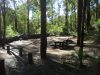 Tonys-Bend-Campground-Lane-Poole-Reserve-Picnic-Area.jpg