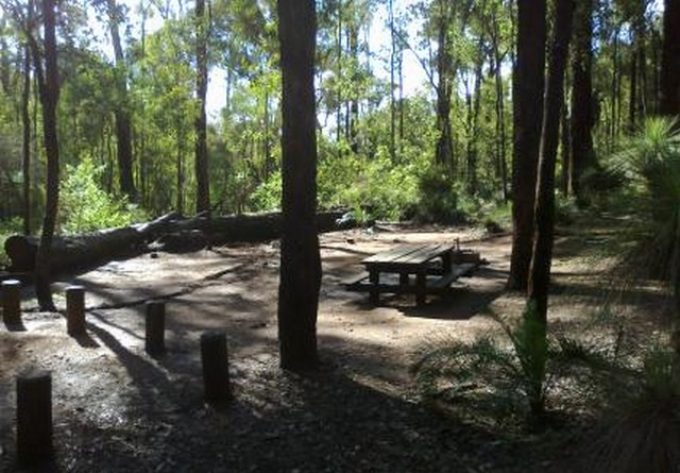 Tonys-Bend-Campground-Lane-Poole-Reserve-Picnic-Area.jpg