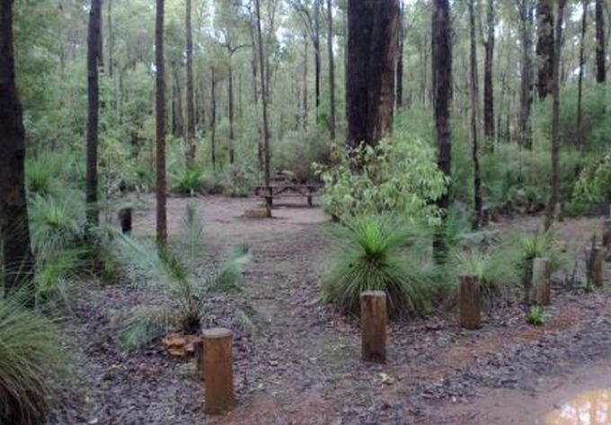 Tonys-Bend-Campground-Lane-Poole-Reserve-Site.jpg