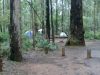 Tonys-Bend-Campground-Lane-Poole-Reserve-Tent-Site.jpg