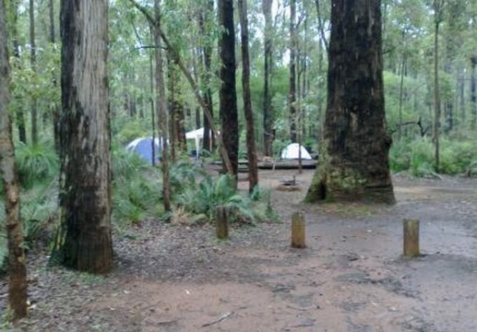 Tonys-Bend-Campground-Lane-Poole-Reserve-Tent-Site.jpg
