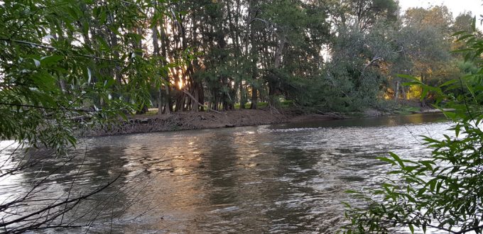 jugiong-recreation-park-river.jpg