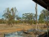 looking-out-of-the-shearing-shed-at-begonia.jpg