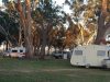 mundulla-showgrounds-camping-area